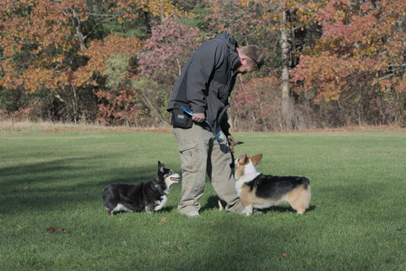 20251102_Dog Park__DSC0346_.jpg