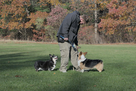 20251102_Dog Park__DSC0347_.jpg