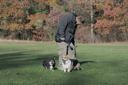 20251102_Dog Park__DSC0348_.jpg