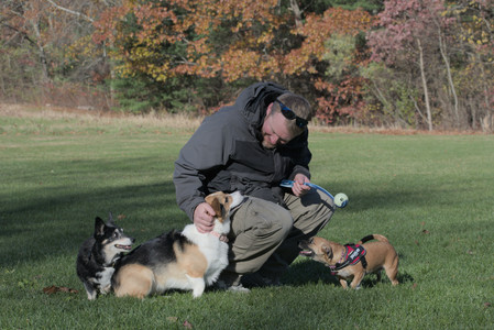 20251102_Dog Park__DSC0355_.jpg