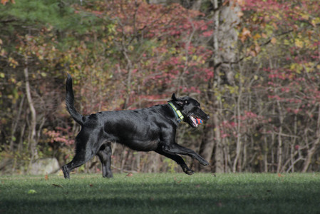 20251102_Dog Park__DSC0367_.jpg