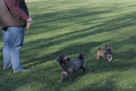 20251102_Dog Park__DSC0378_.jpg