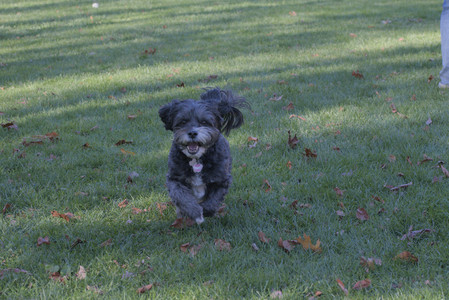 20251102_Dog Park__DSC0379_.jpg