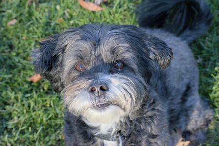 20251102_Dog Park__DSC0381_.jpg