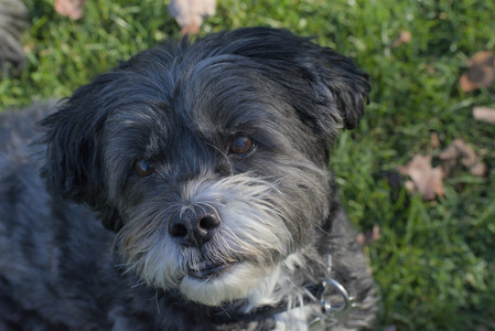 20251102_Dog Park__DSC0384_.jpg