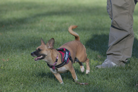 20251102_Dog Park__DSC0403_.jpg