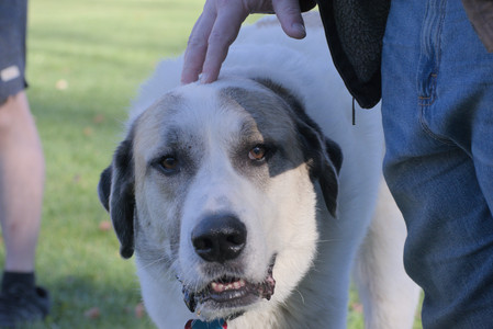 20251102_Dog Park__DSC0415_.jpg