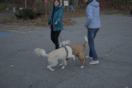 20251104_Dog park__DSC0036_.jpg