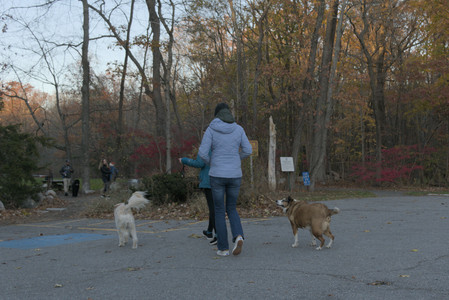 20251104_Dog park__DSC0037_.jpg