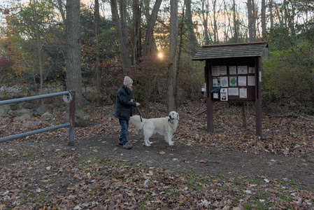 20251104_Dog park__DSC0041_.jpg
