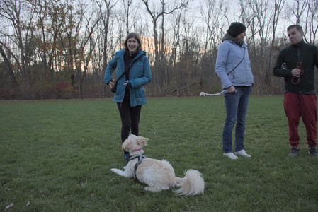 20251104_Dog park__DSC0082_.jpg