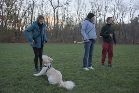 20251104_Dog park__DSC0083_.jpg