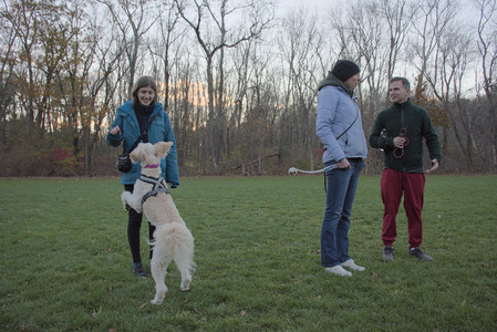 20251104_Dog park__DSC0084_.jpg