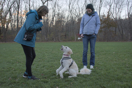 20251104_Dog park__DSC0087_.jpg