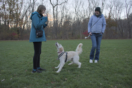 20251104_Dog park__DSC0088_.jpg