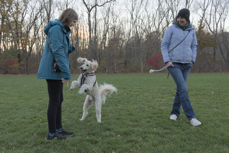20251104_Dog park__DSC0089_.jpg