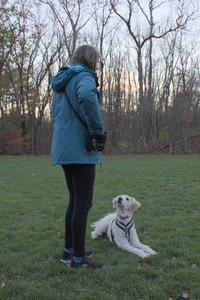 20251104_Dog park__DSC0090_.jpg