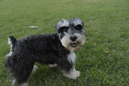 20251104_Dog park__DSC0104_.jpg