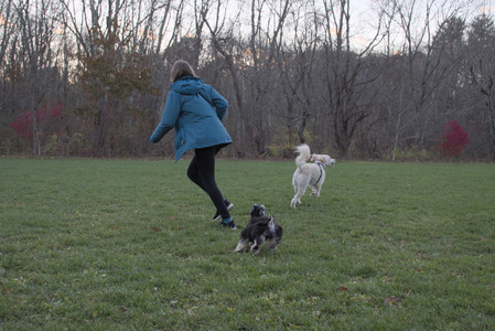20251104_Dog park__DSC0111_.jpg