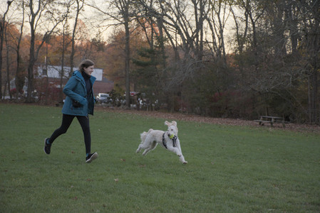 20251104_Dog park__DSC0121_.jpg