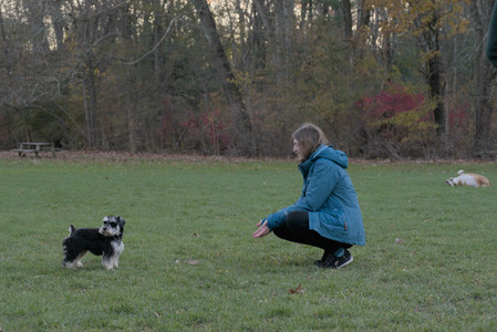 20251104_Dog park__DSC0124_.jpg