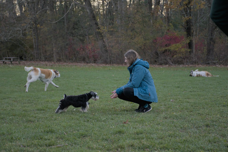 20251104_Dog park__DSC0125_.jpg