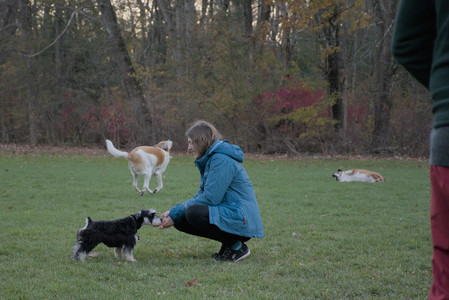 20251104_Dog park__DSC0126_.jpg