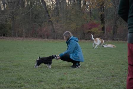 20251104_Dog park__DSC0127_.jpg