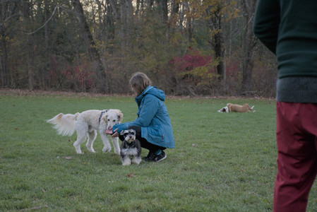 20251104_Dog park__DSC0128_.jpg