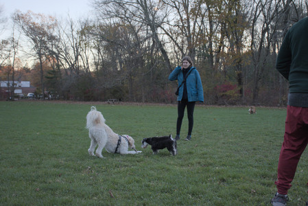 20251104_Dog park__DSC0133_.jpg