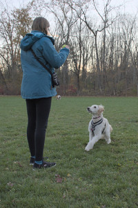 20251104_Dog park__DSC0136_.jpg