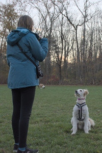 20251104_Dog park__DSC0137_.jpg