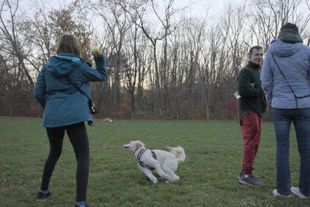 20251104_Dog park__DSC0138_.jpg