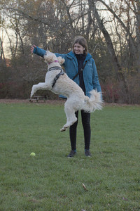 20251104_Dog park__DSC0142_.jpg