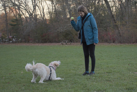 20251104_Dog park__DSC0144_.jpg