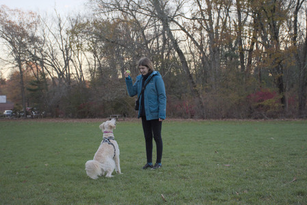 20251104_Dog park__DSC0145_.jpg
