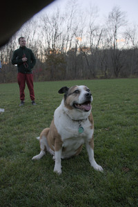 20251104_Dog park__DSC0151_.jpg