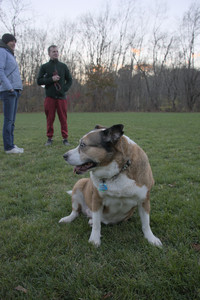 20251104_Dog park__DSC0152_.jpg