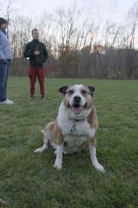 20251104_Dog park__DSC0153_.jpg