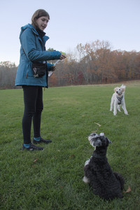 20251104_Dog park__DSC0168_.jpg