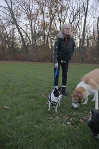 20251104_Dog park__DSC0206_.jpg