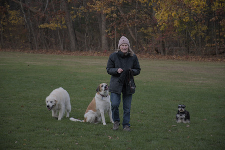 20251104_Dog park__DSC0214_.jpg