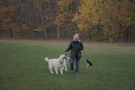 20251104_Dog park__DSC0215_.jpg