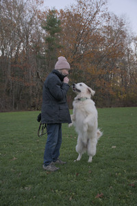 20251104_Dog park__DSC0218_.jpg