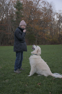 20251104_Dog park__DSC0220_.jpg