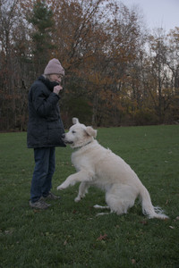 20251104_Dog park__DSC0222_.jpg