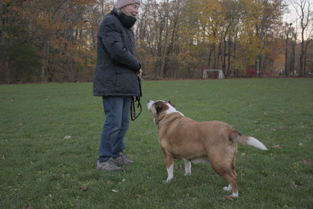 20251104_Dog park__DSC0224_.jpg