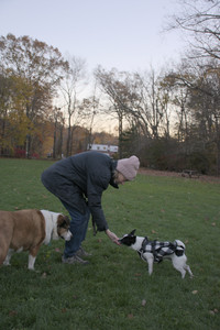 20251104_Dog park__DSC0226_.jpg