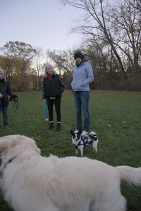 20251104_Dog park__DSC0228_.jpg