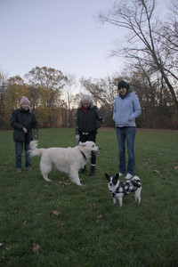 20251104_Dog park__DSC0231_.jpg